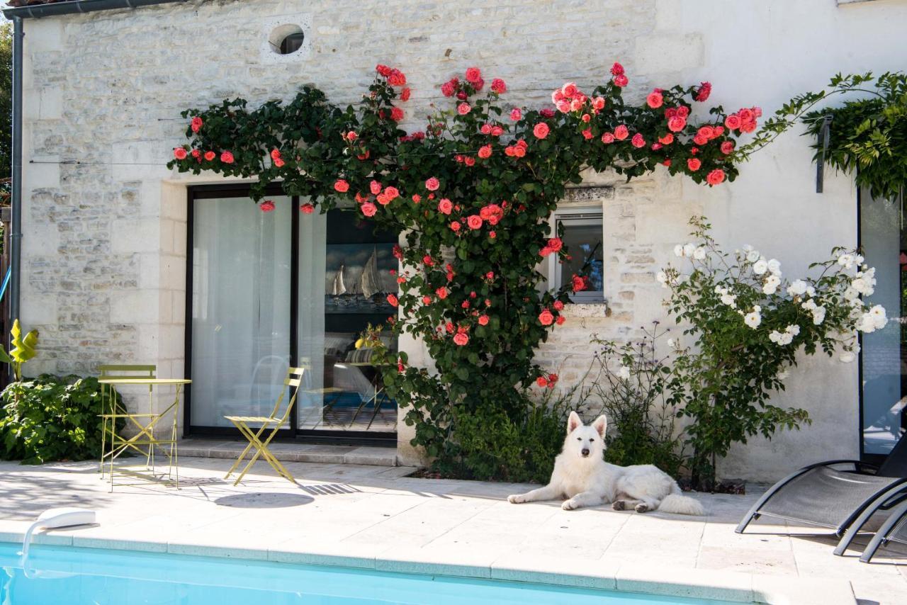 Le Logis De La Brumanderie - Saintes Fontcouverte  Luaran gambar