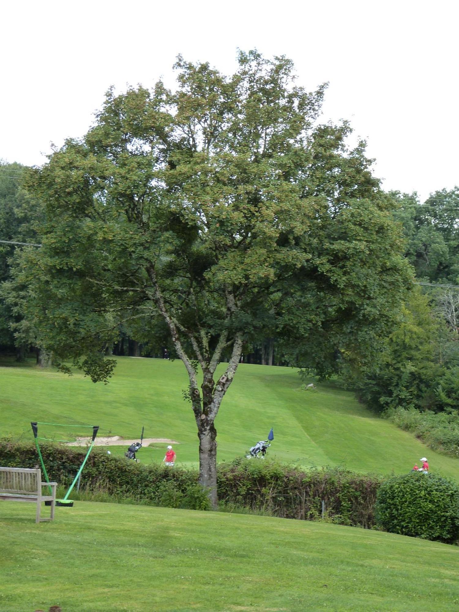 Le Logis De La Brumanderie - Saintes Fontcouverte  Luaran gambar