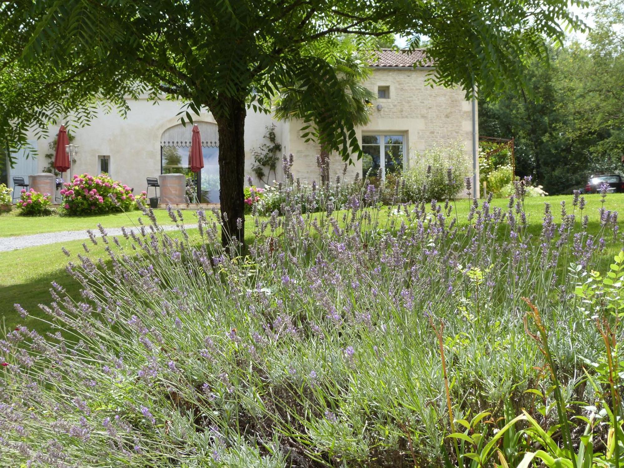 Le Logis De La Brumanderie - Saintes Fontcouverte  Luaran gambar